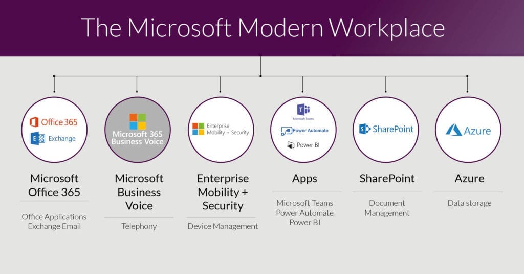 office 365
